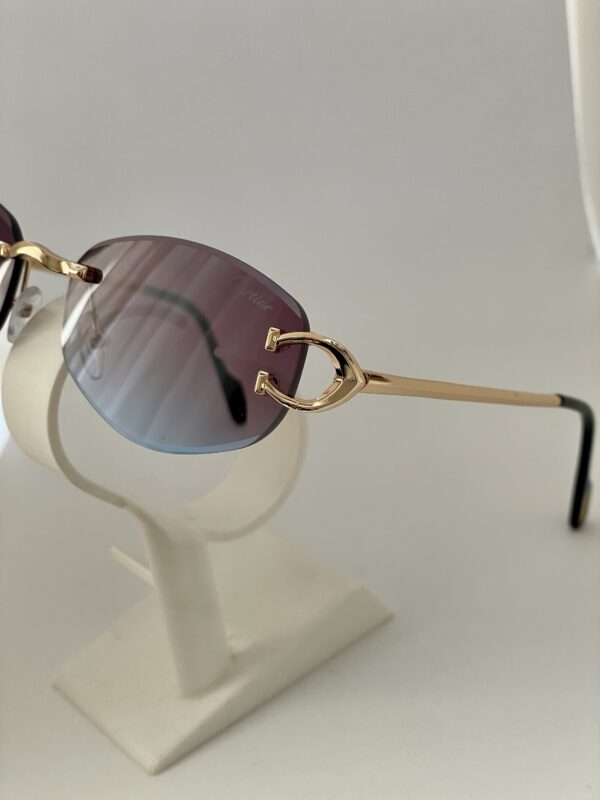 Carite güneş gözlüğü